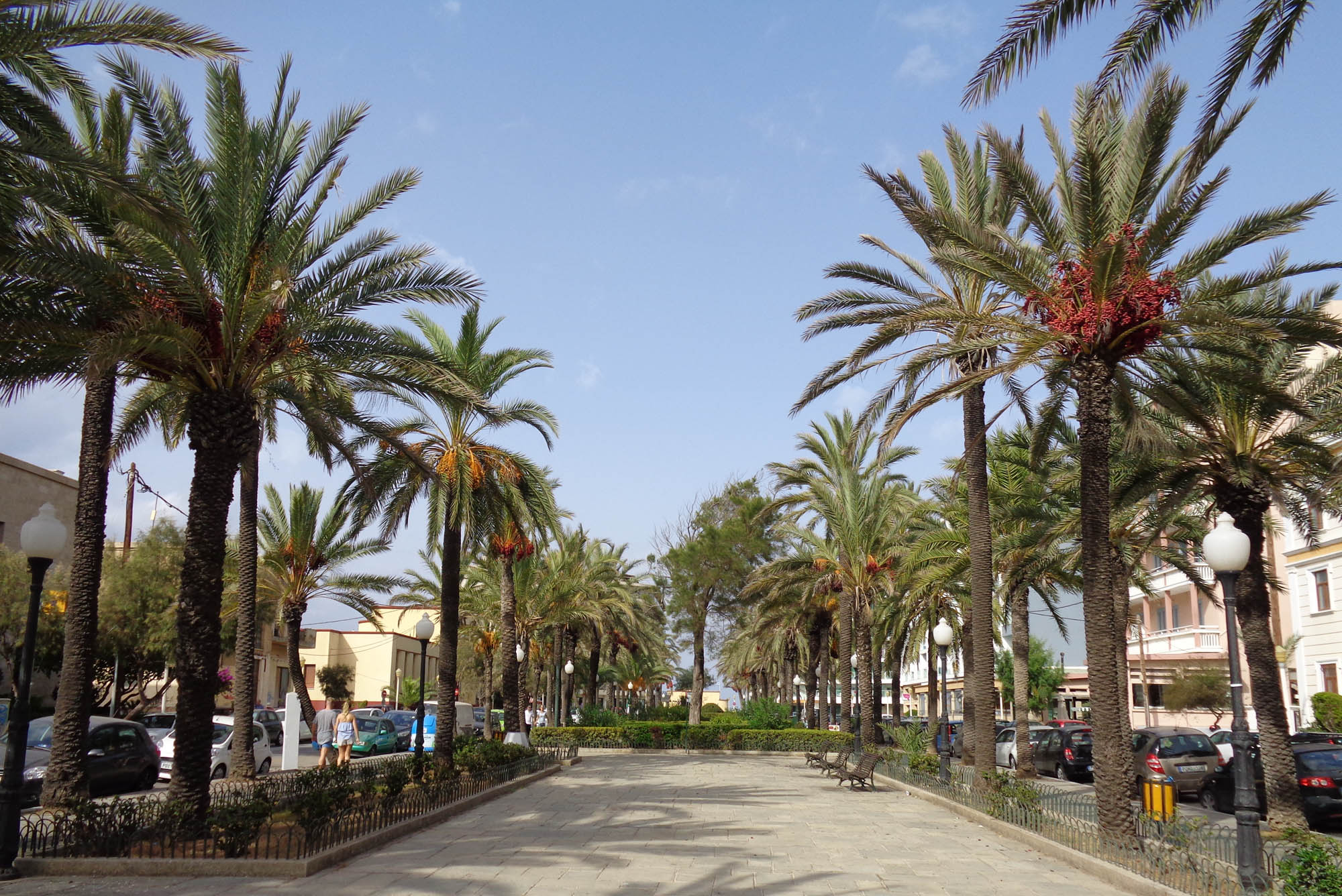 Deptak z palmami w centrum miasta Rodos