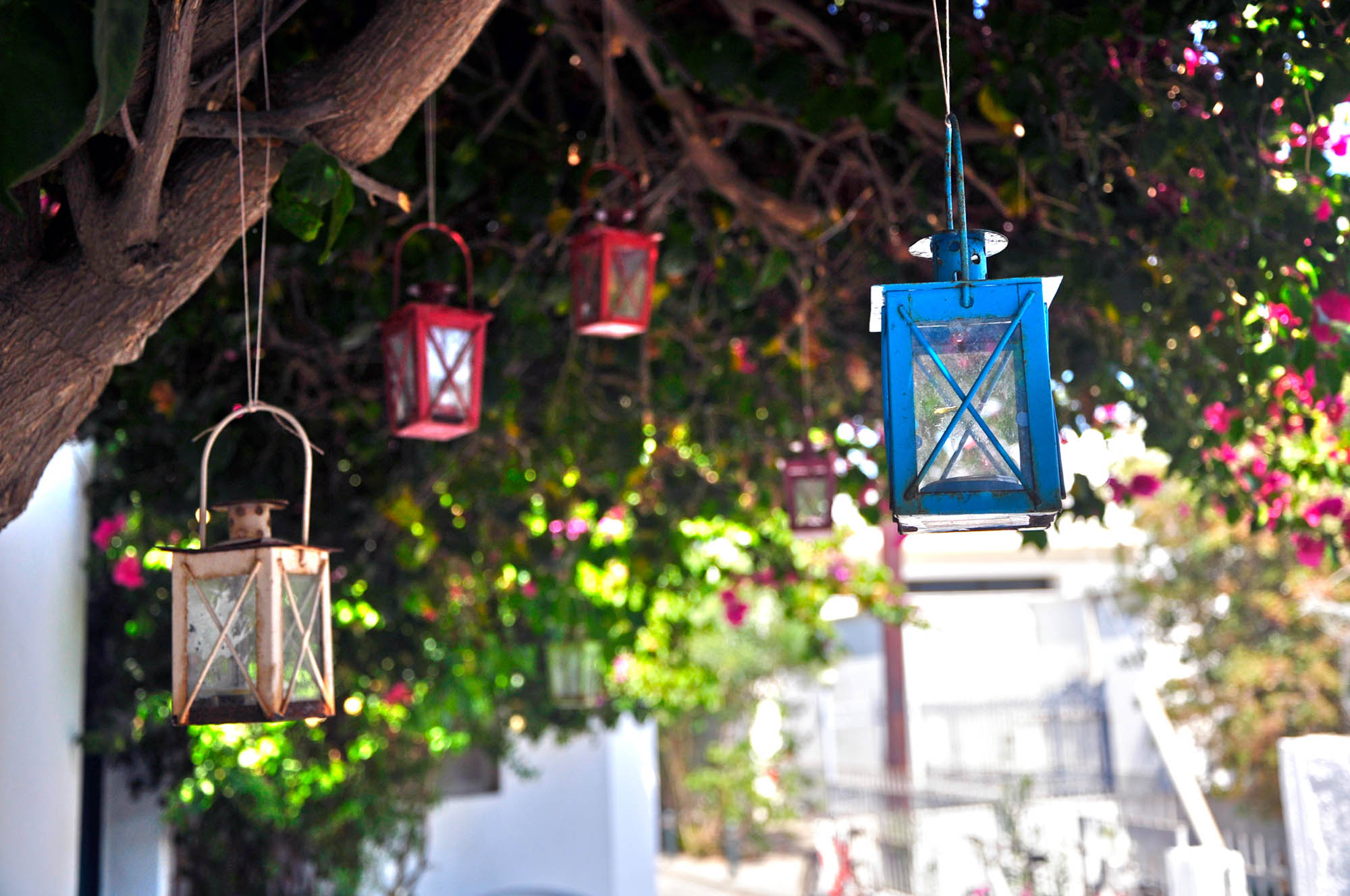 Kolorowe lampiony zawieszone na drzewie nad restauracją w Mandraki