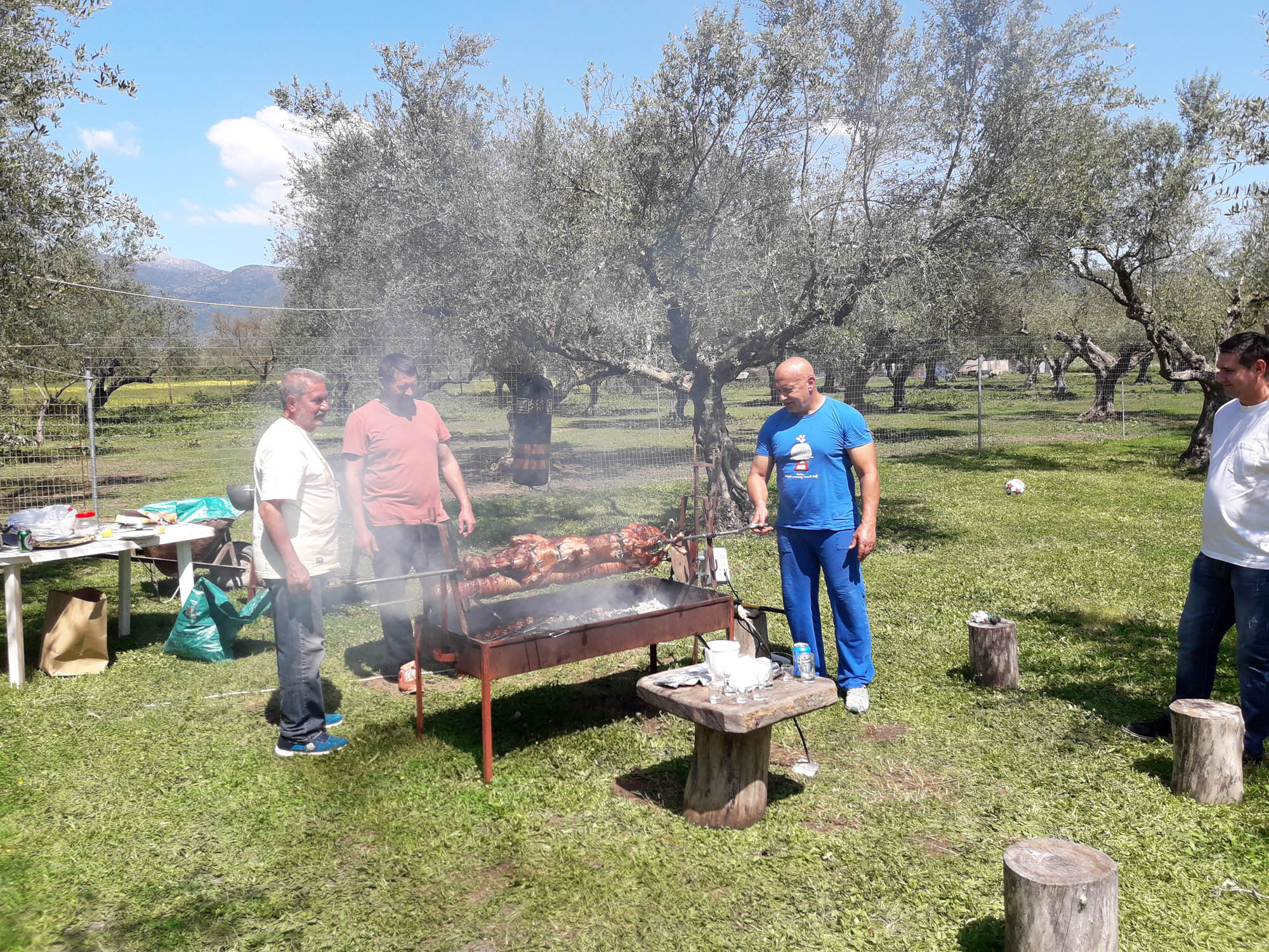 Tłusty czwartek w Grecji, grill w gaju oliwnym