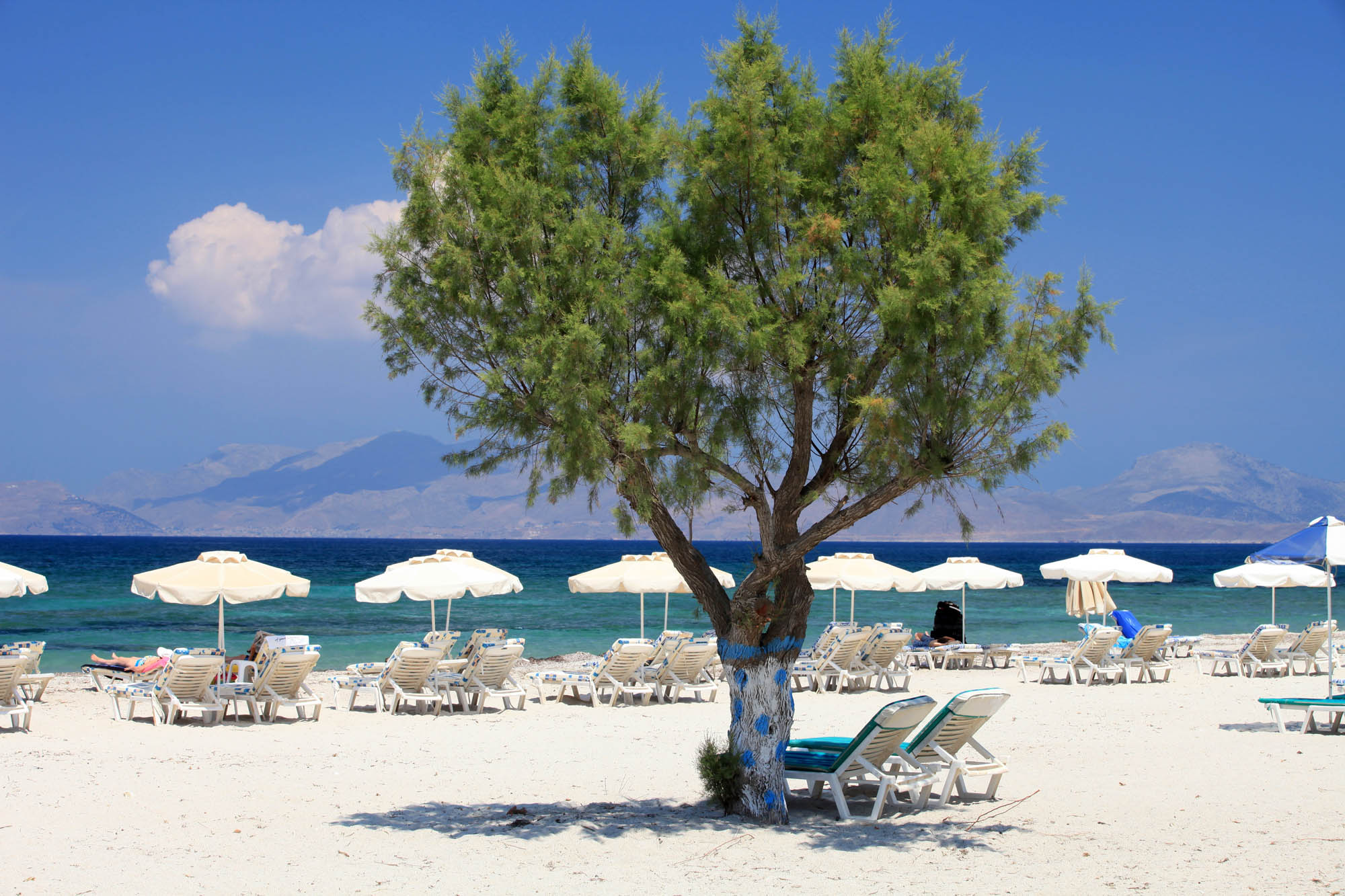 plaża, widok na drzewo i parasolki oraz piękne, turkusowe morze