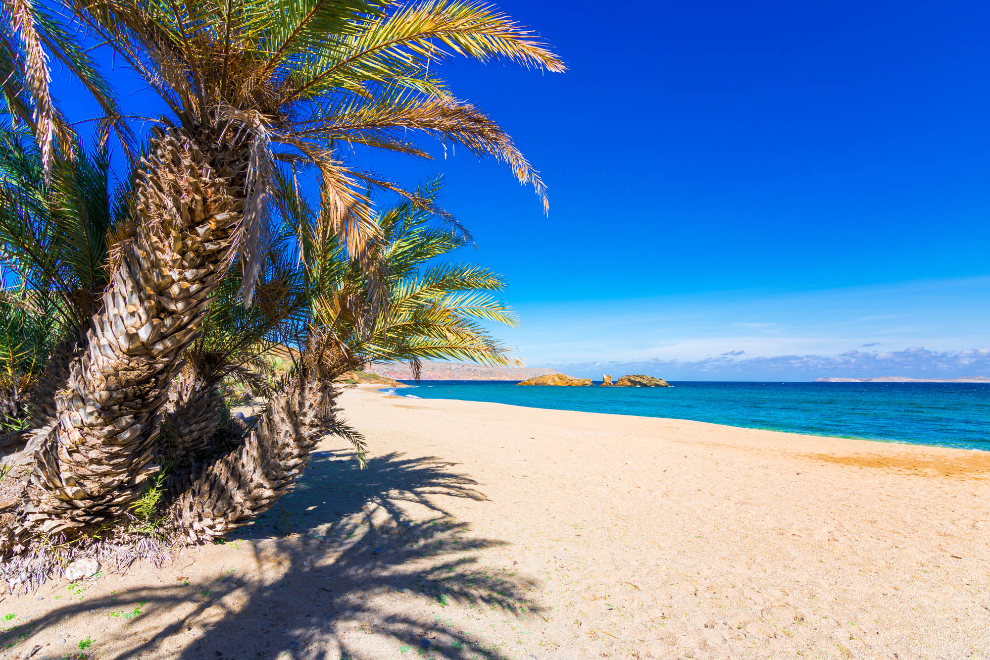 rajska plaża z palmami w krecji, widok na piasek, morze i niebo oraz palmy