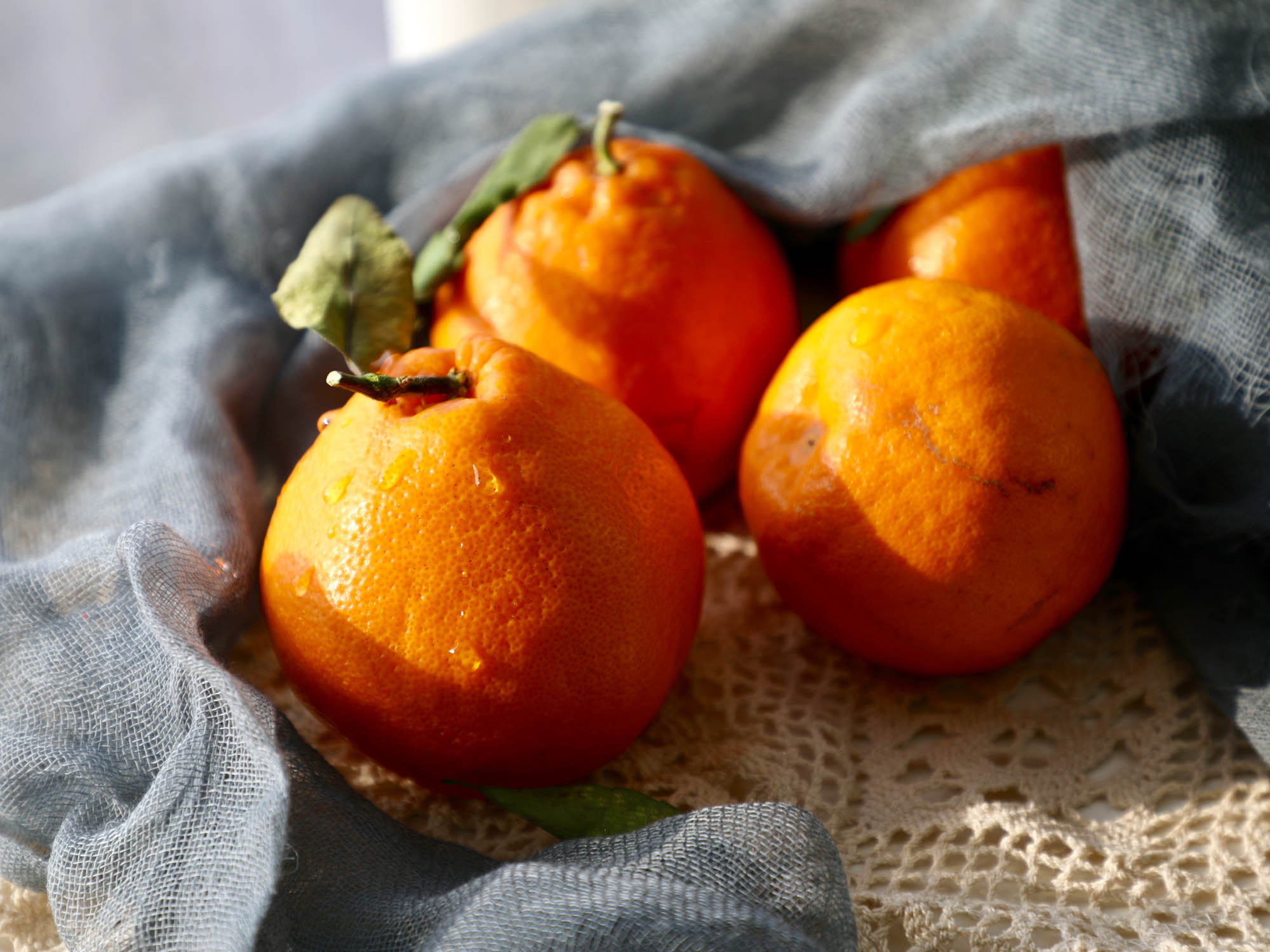 aromatyczne, dojrzałe pomarańcze leżące na tkaninie