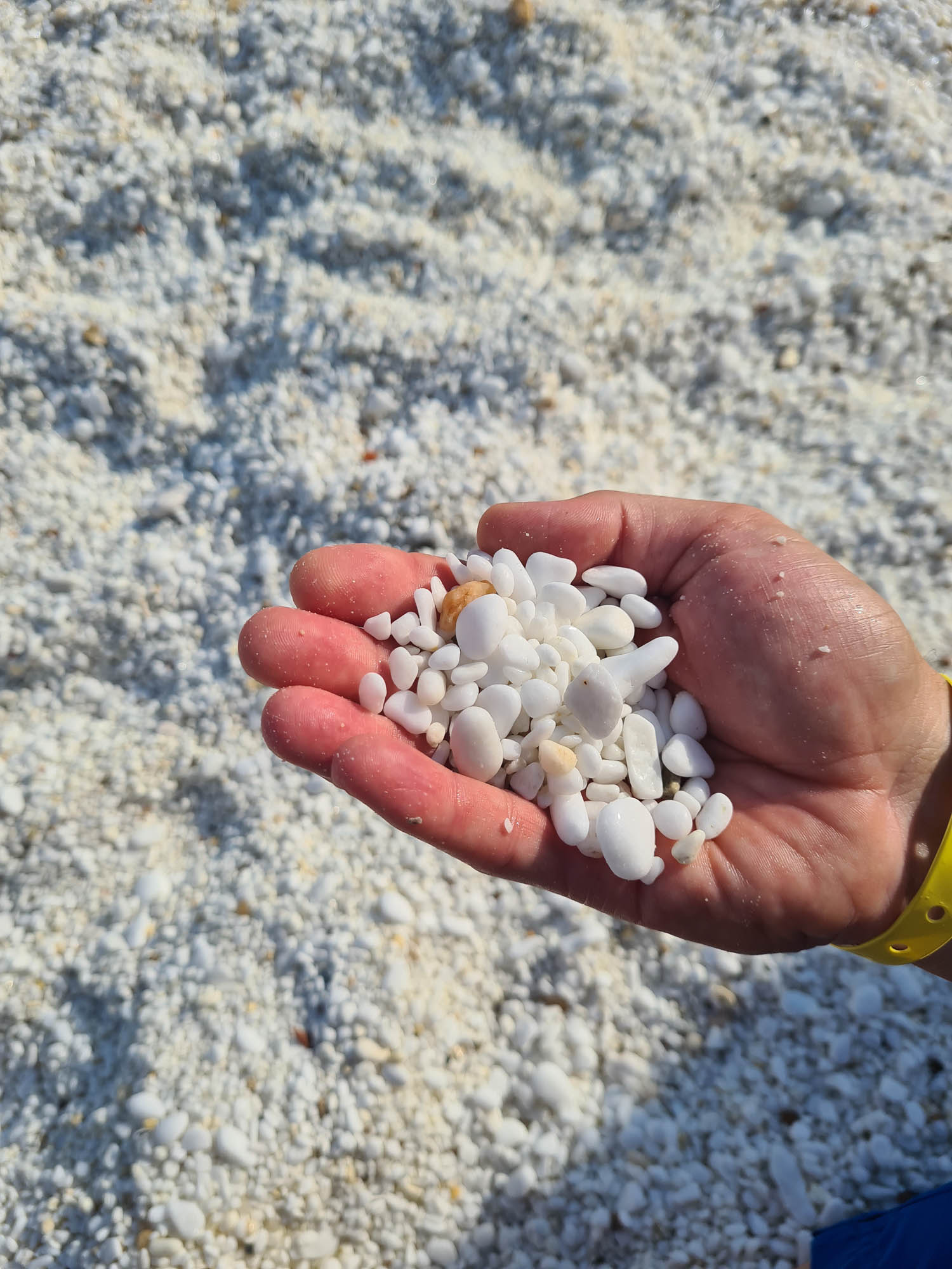 dłoń trzymająca kamyczki z białego marmuru na markurkowej plaży na thassos