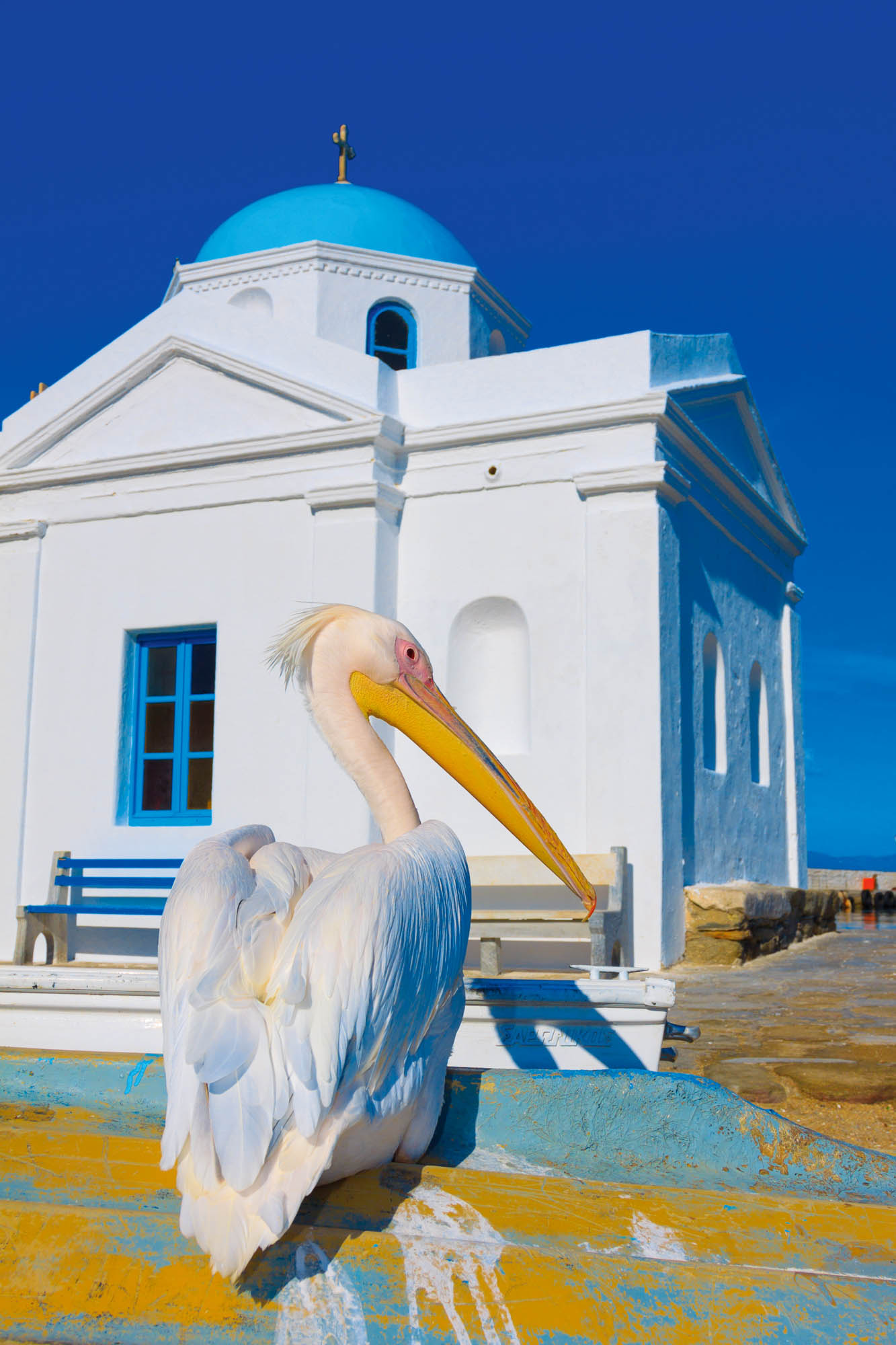 pelikan, na drugim planie niebiesko-biała cerkiew i niebieskie niebo