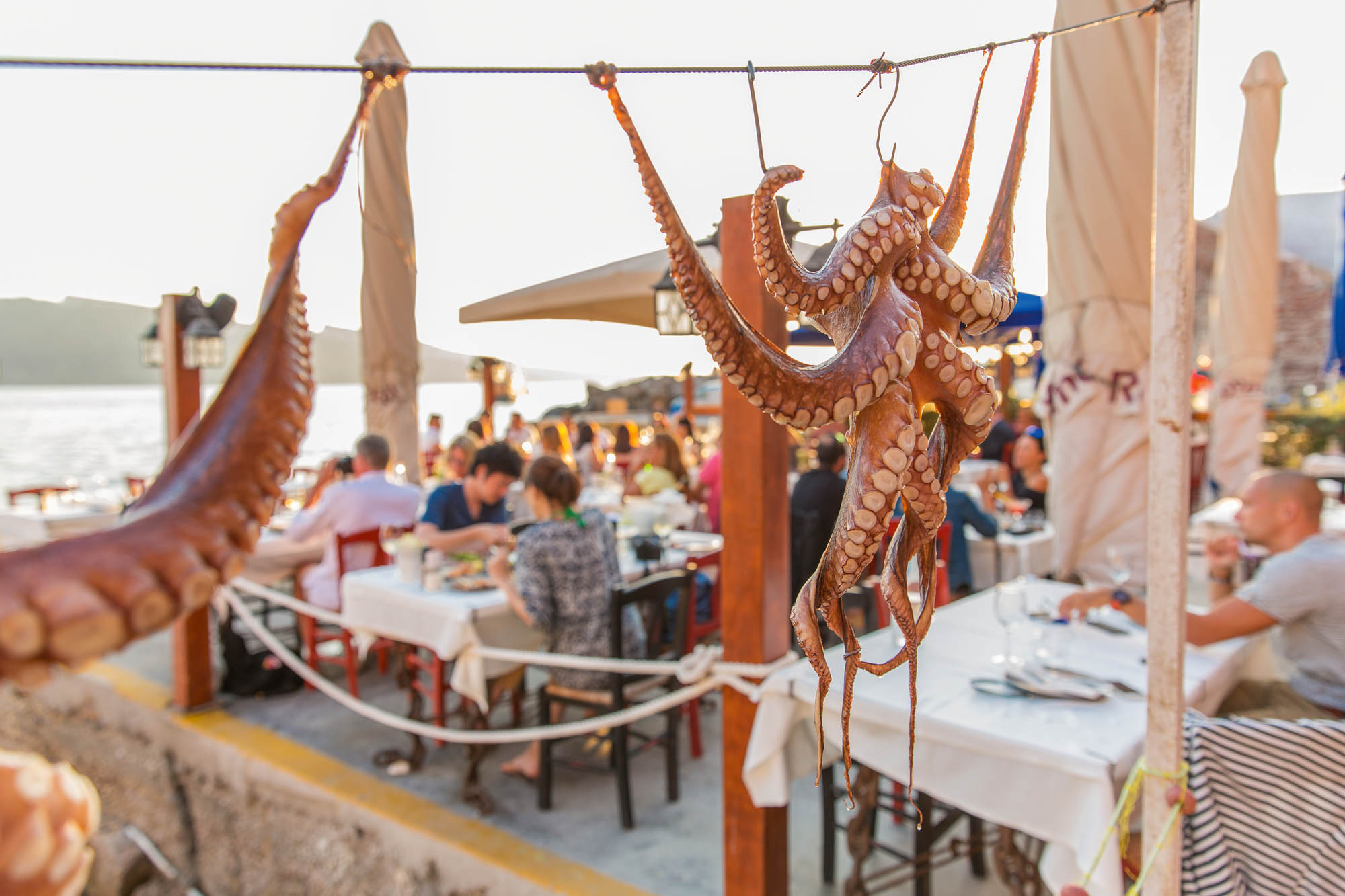 grecka biesiada przy stole, na pierwszym planie suszą się ośmiornice - owoce morza, greckie spotkanie