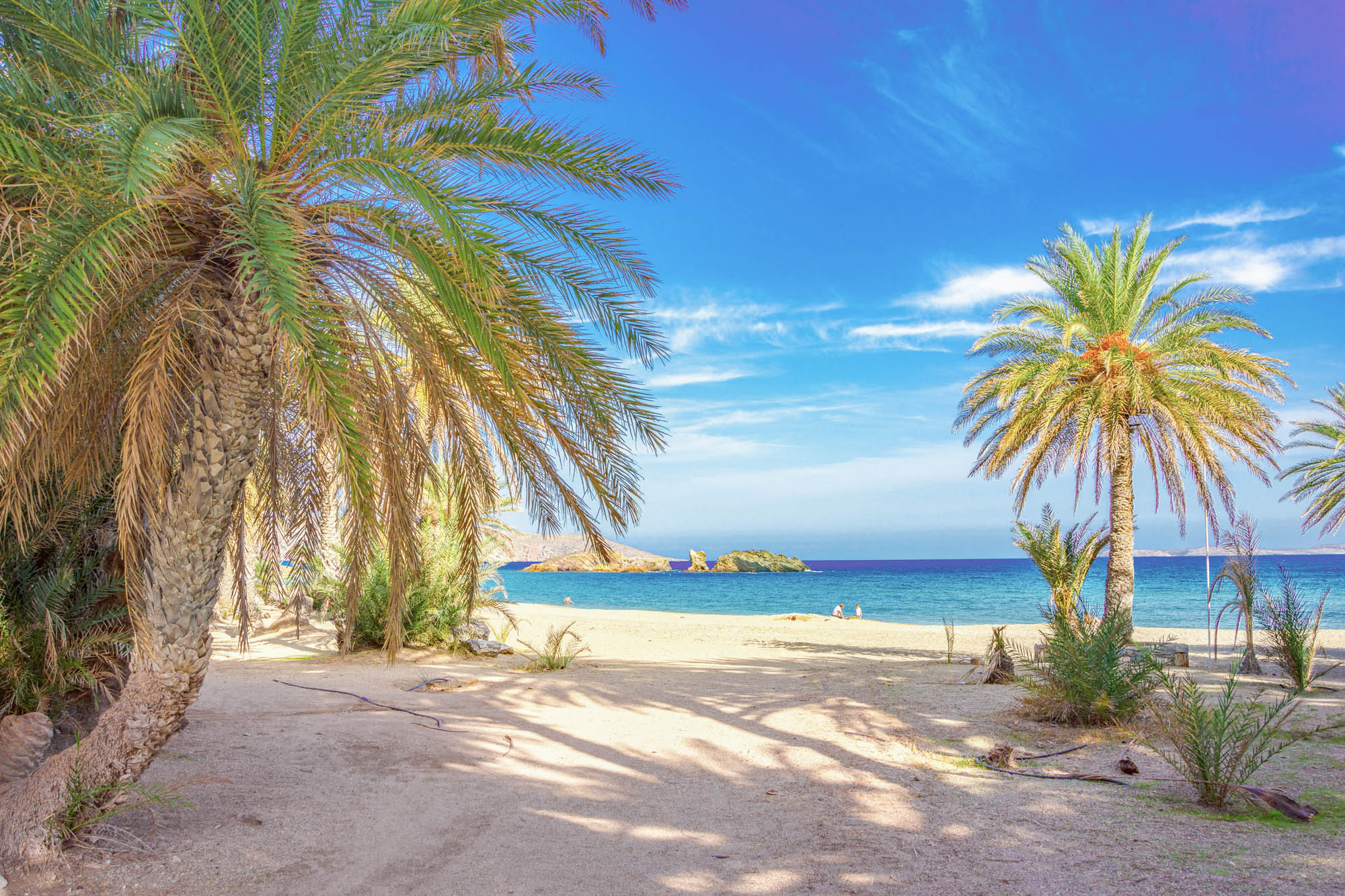 palmy na plaży Vai, Kreta