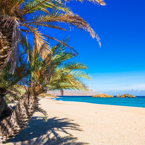 egzotyczna plaża z palmami daktylowymi, plaża Vai, kreta