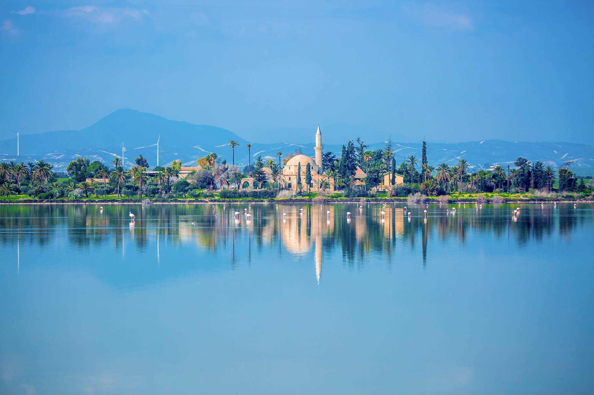 słone jezioro na cyprze a w tle larnaca, panorama na miasto odbijające sie w wodzie