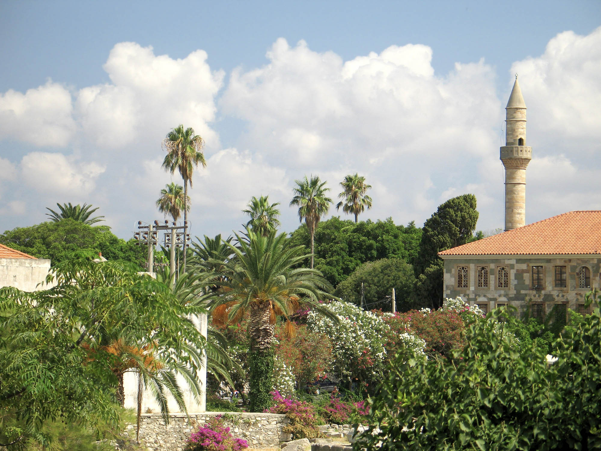 miasto kos, widok z daleka, majaczy minaret i palmy