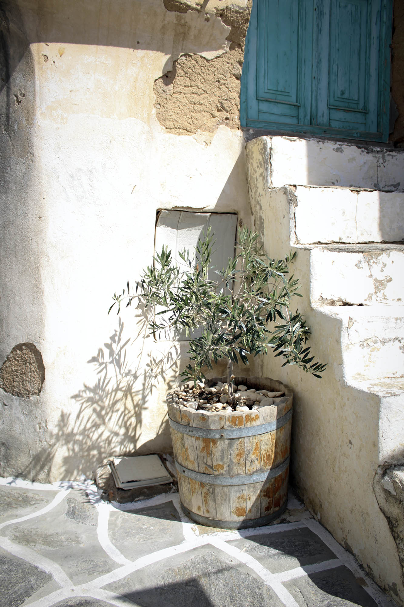 drzewko oliwne w donicy stojącej przy schodach, greckie klimaty