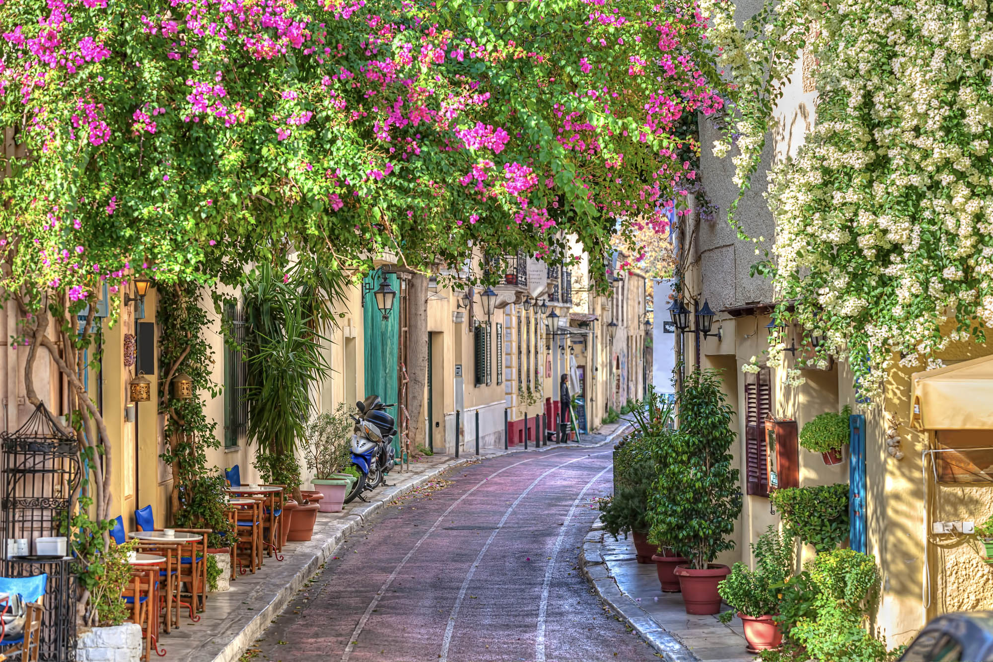 uliczka w atenach, stara część aten, ulica porośnięta kwiatami