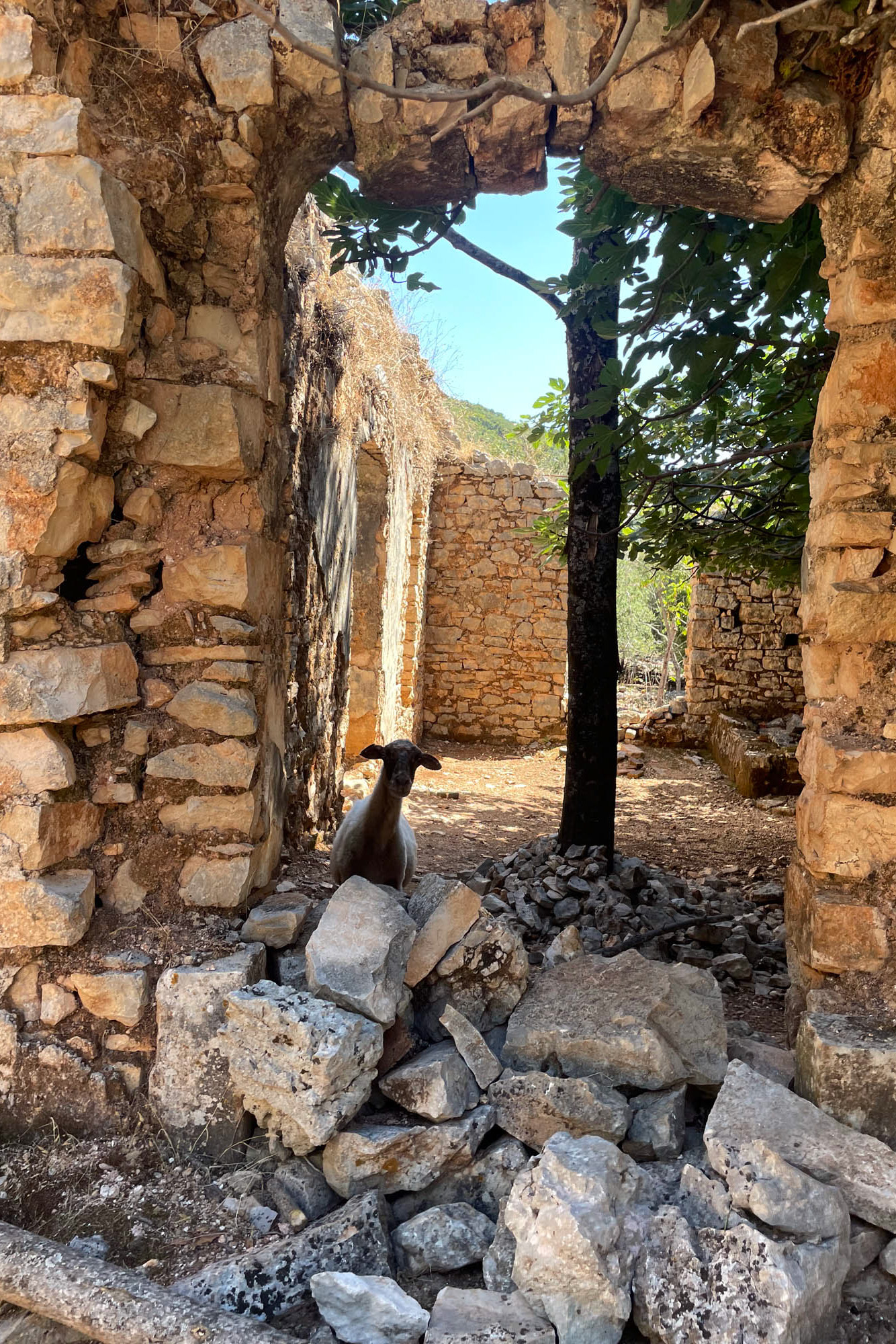 niesamowite ruiny wioski vlachata na kefalonni, wioska pełna duchów