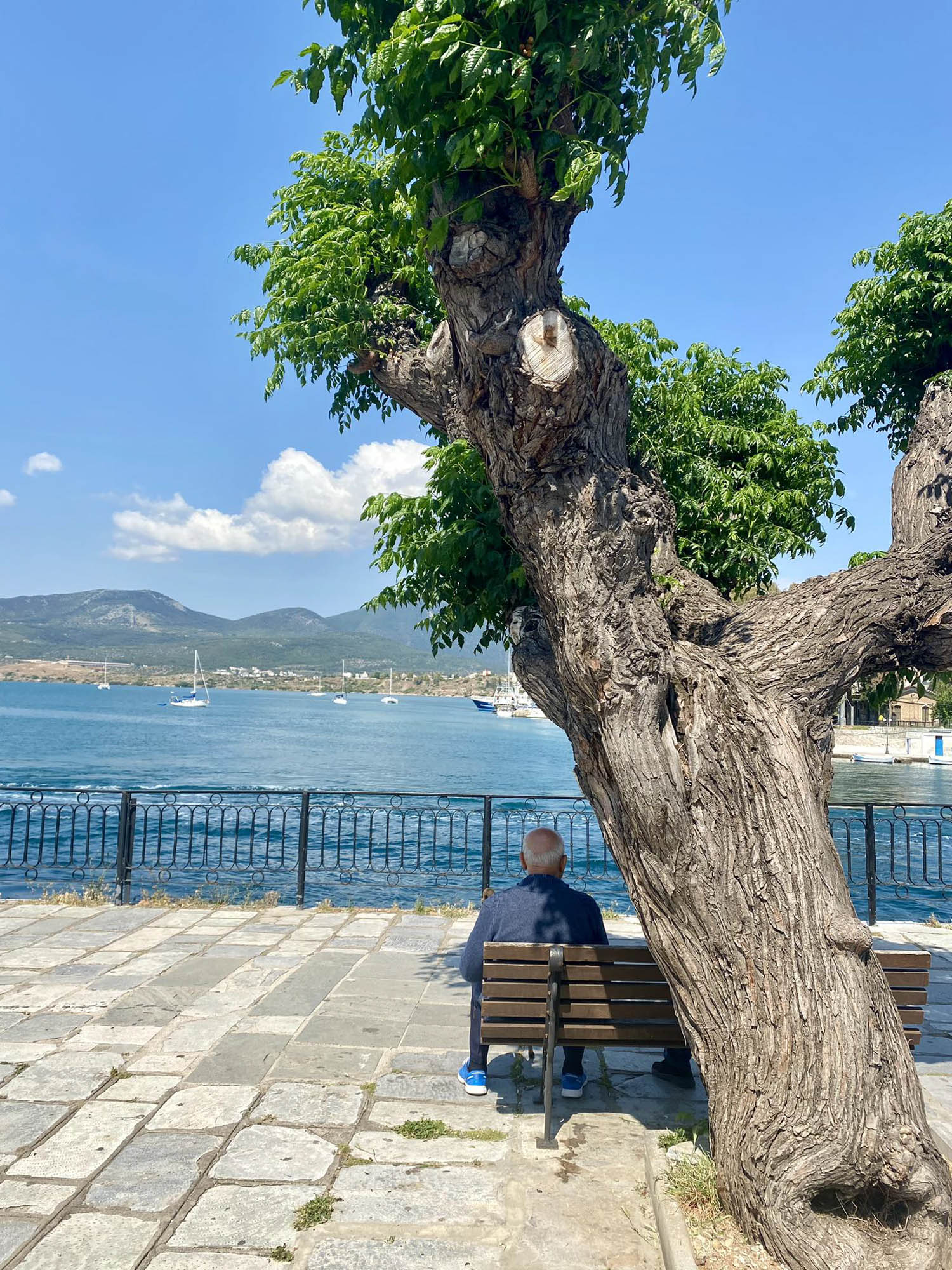 wyspa Evia, starszy pan siedzący na ławce i patrzący w morze, piękna pogoda i słońce