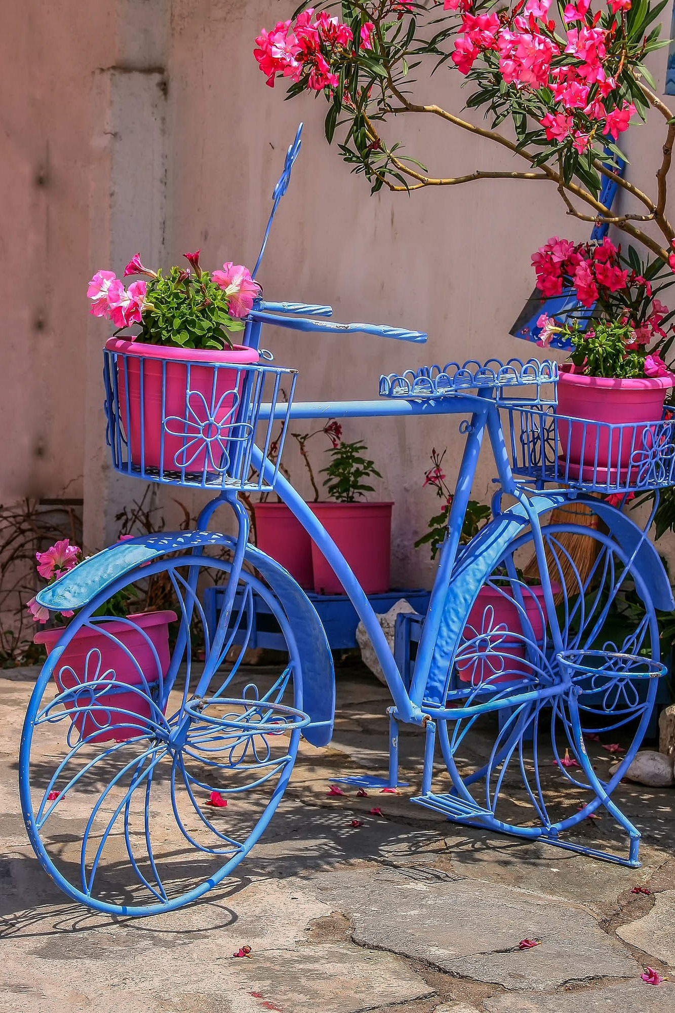 niebieski rower i różowe kwiaty, gdzieś w grecji, detal