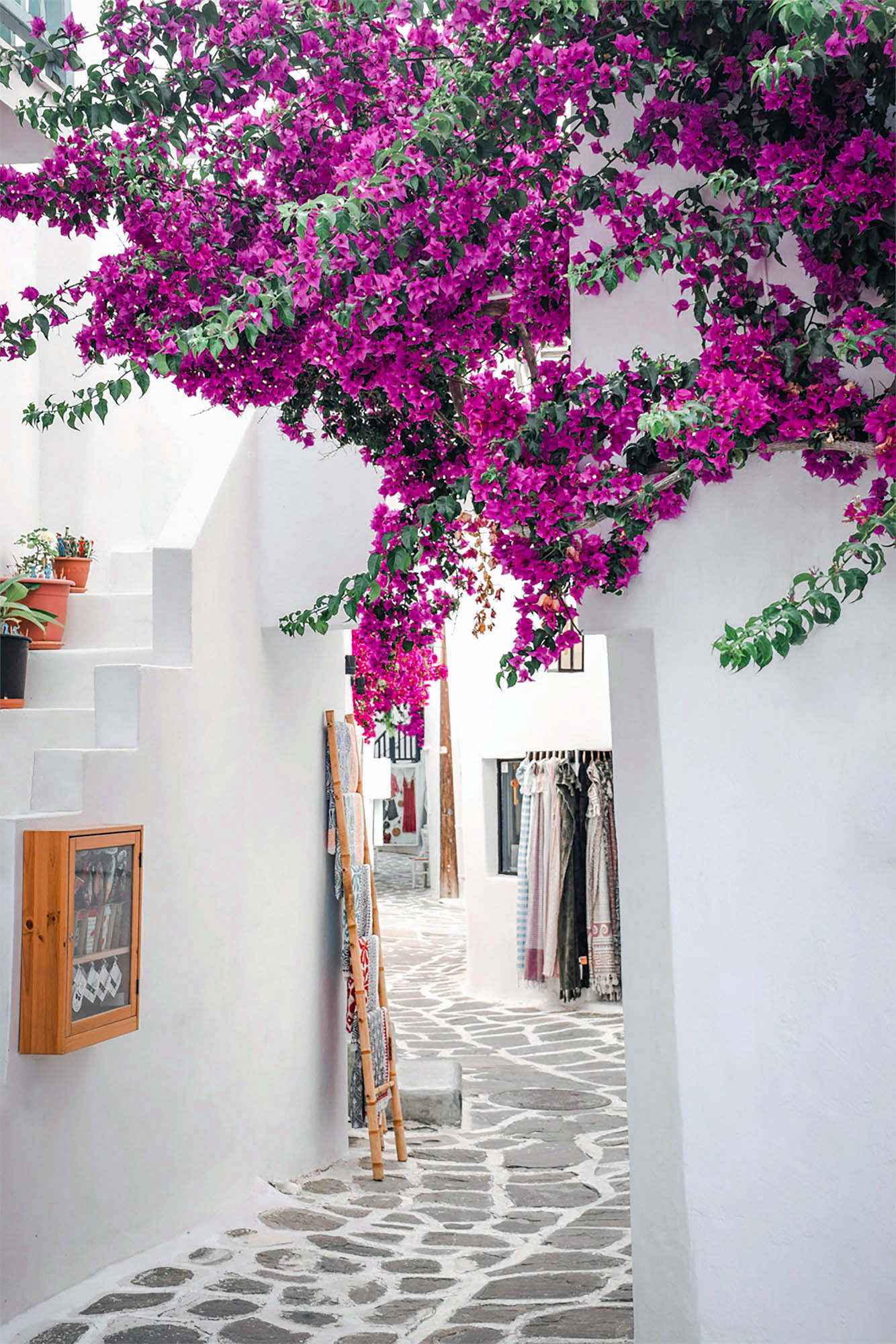 gdzieś w grecji, biała uliczka, różowe kwiaty, piękny detal