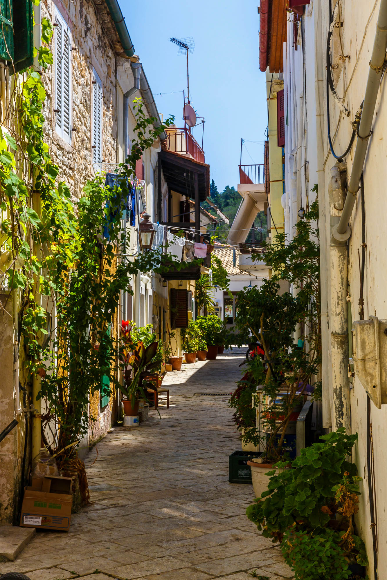 paxos, urokliwe, porośnięte roślinami uliczki miasteczka