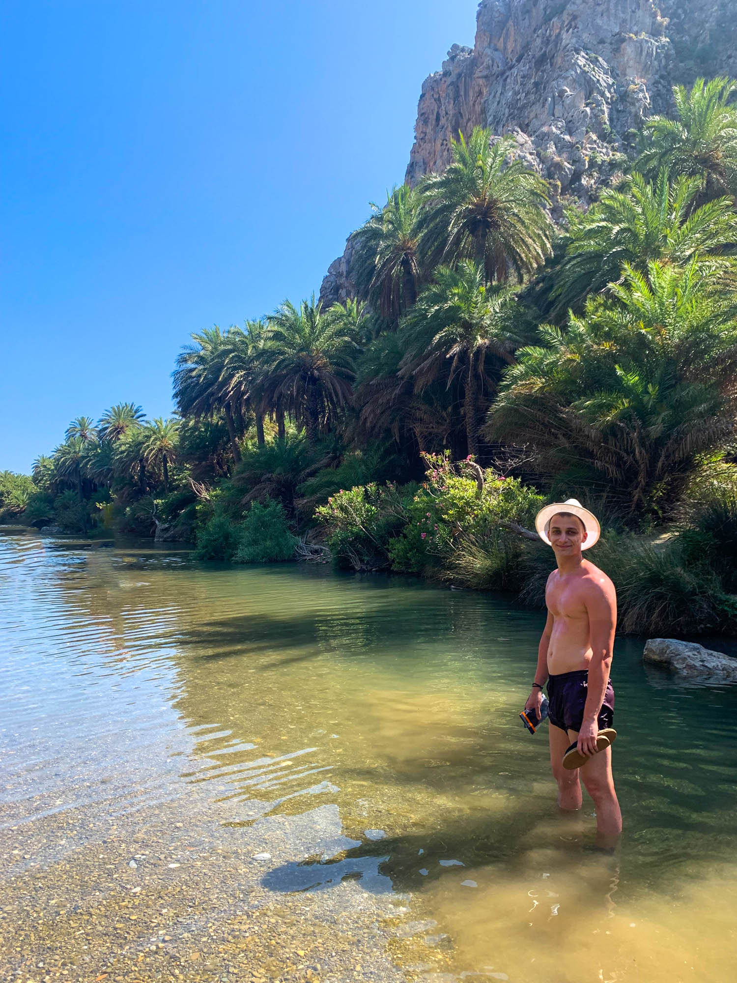 preveli beach, wspomnienia, relacje, widok na plaże i palmy