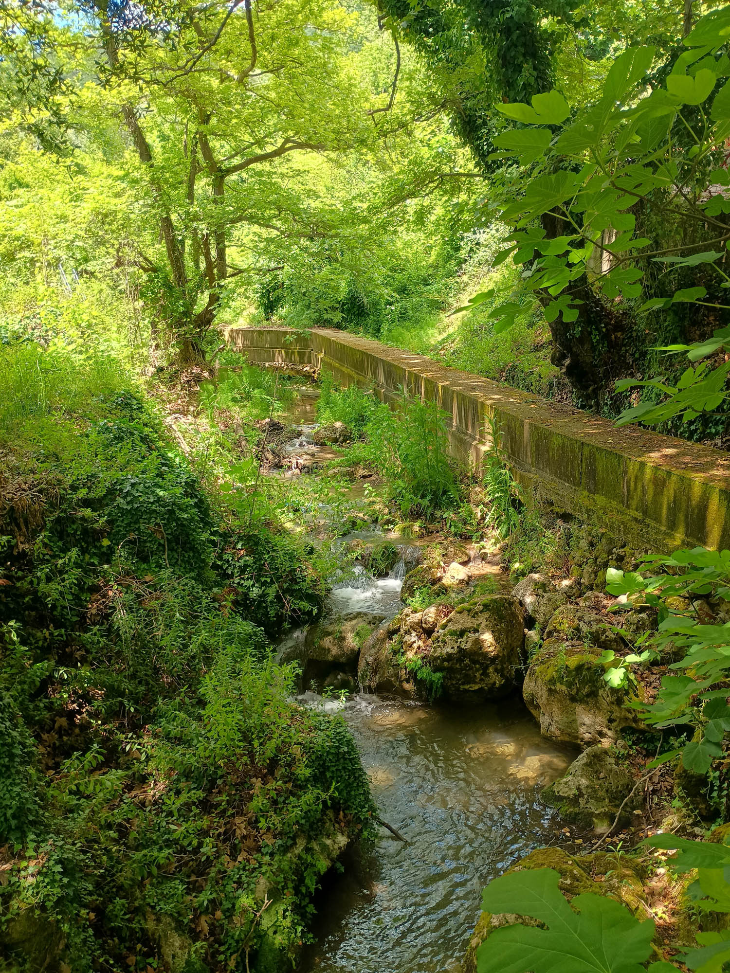 przyroda epiru