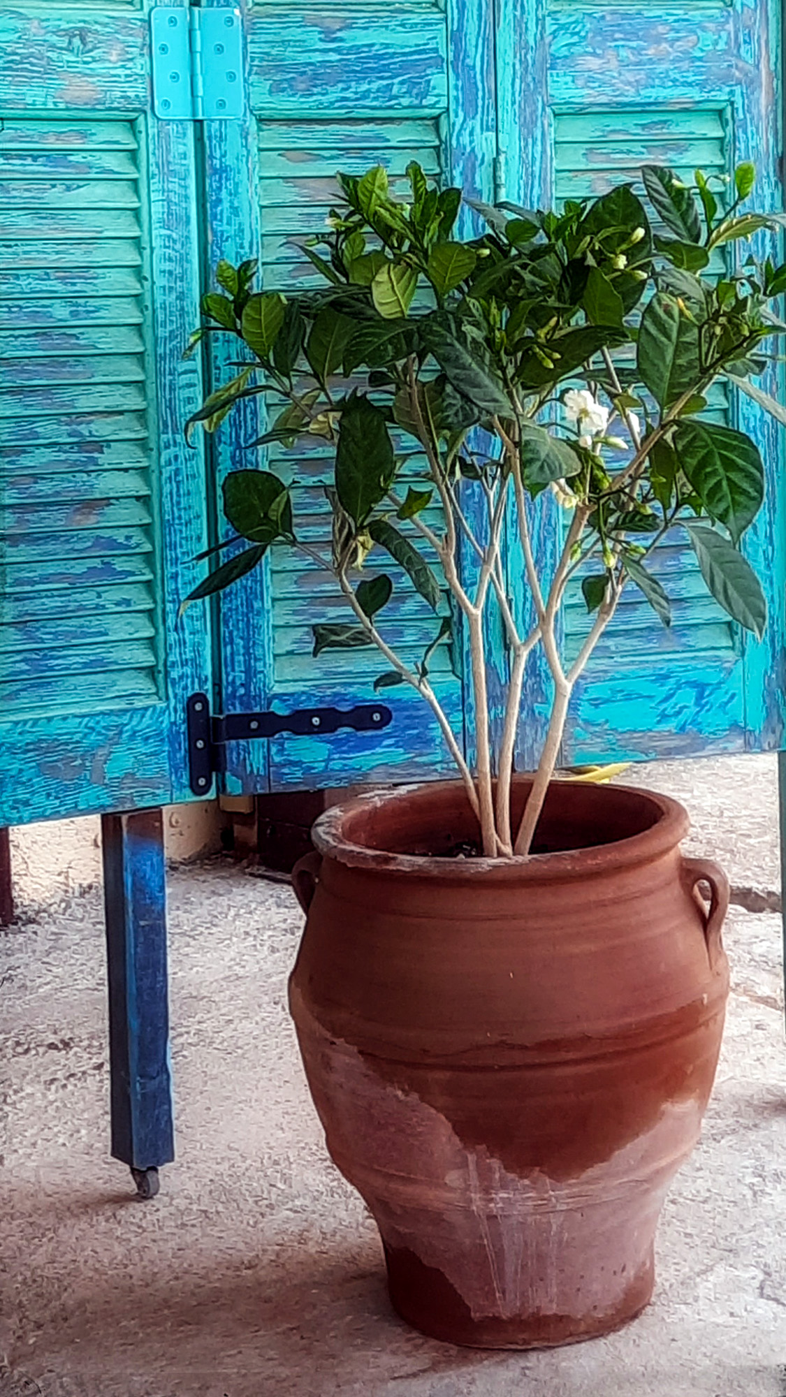 kreta, wspomnienia ii relacje, konkurs waszym okiem