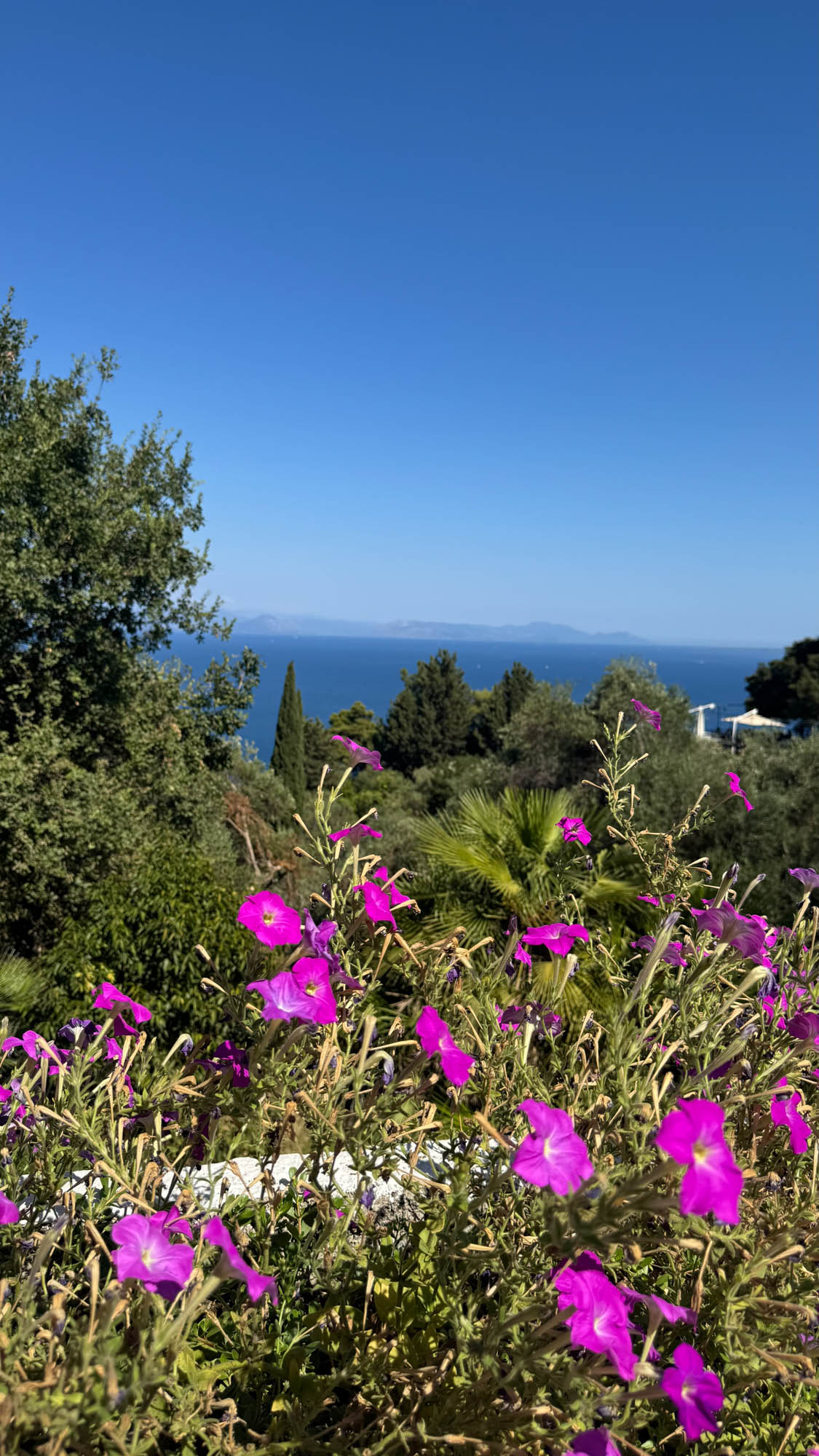 ogrody achillionu, przyroda, detale, korfu, piekne widoki