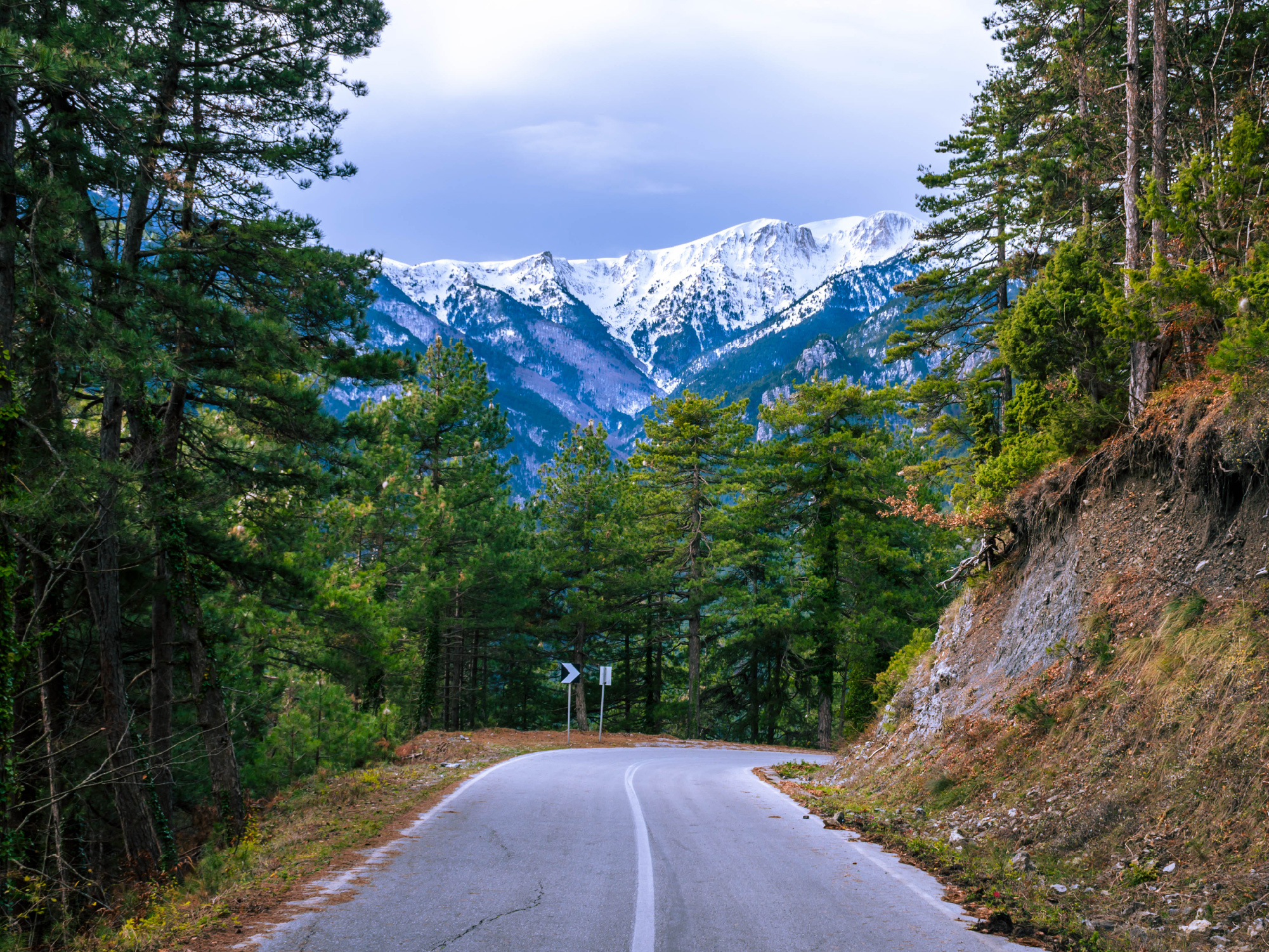 masyw olimpu, góry widziane z drogi, las, riwiera olimpu