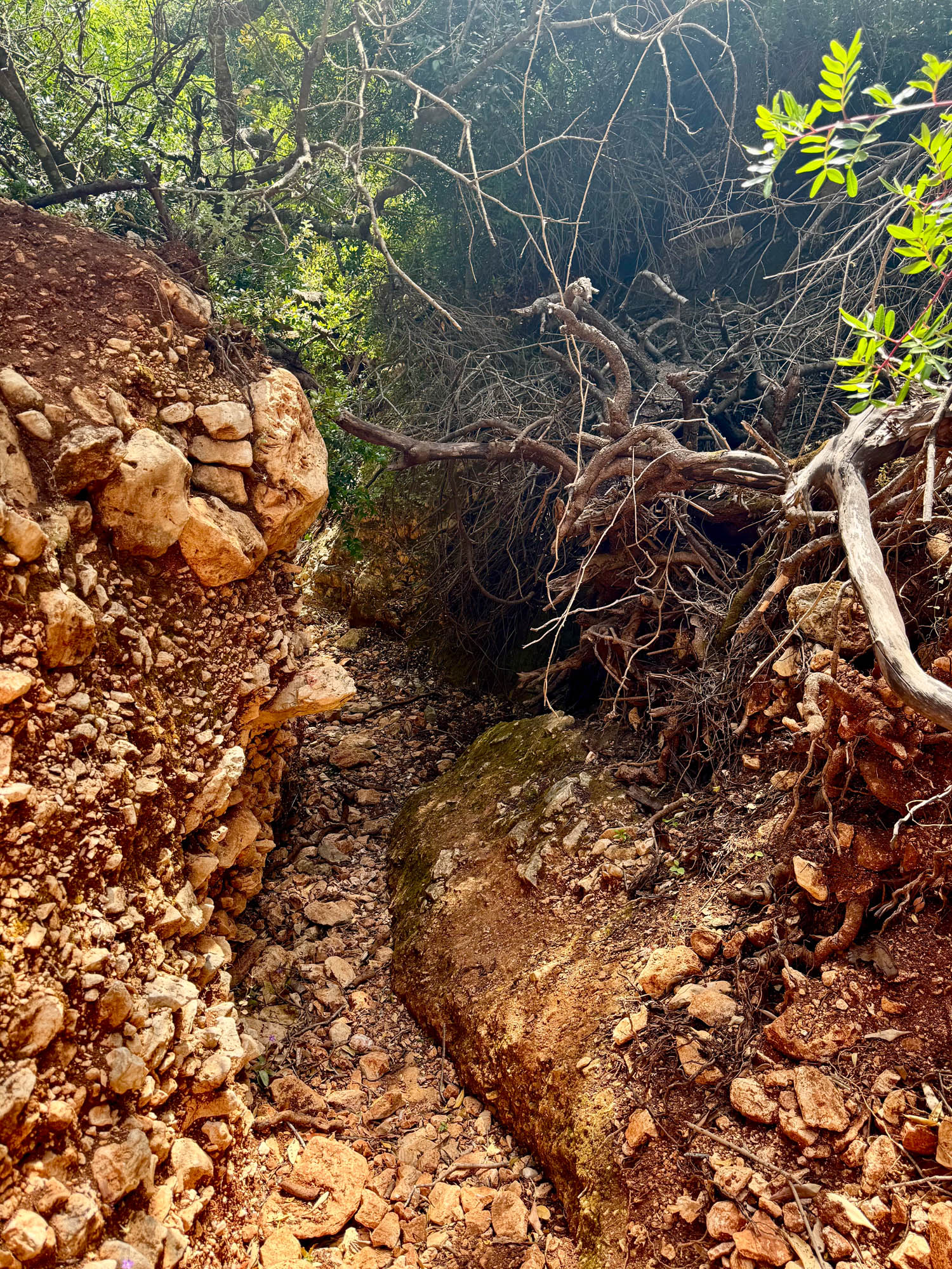 droga na fteri, kefalonia