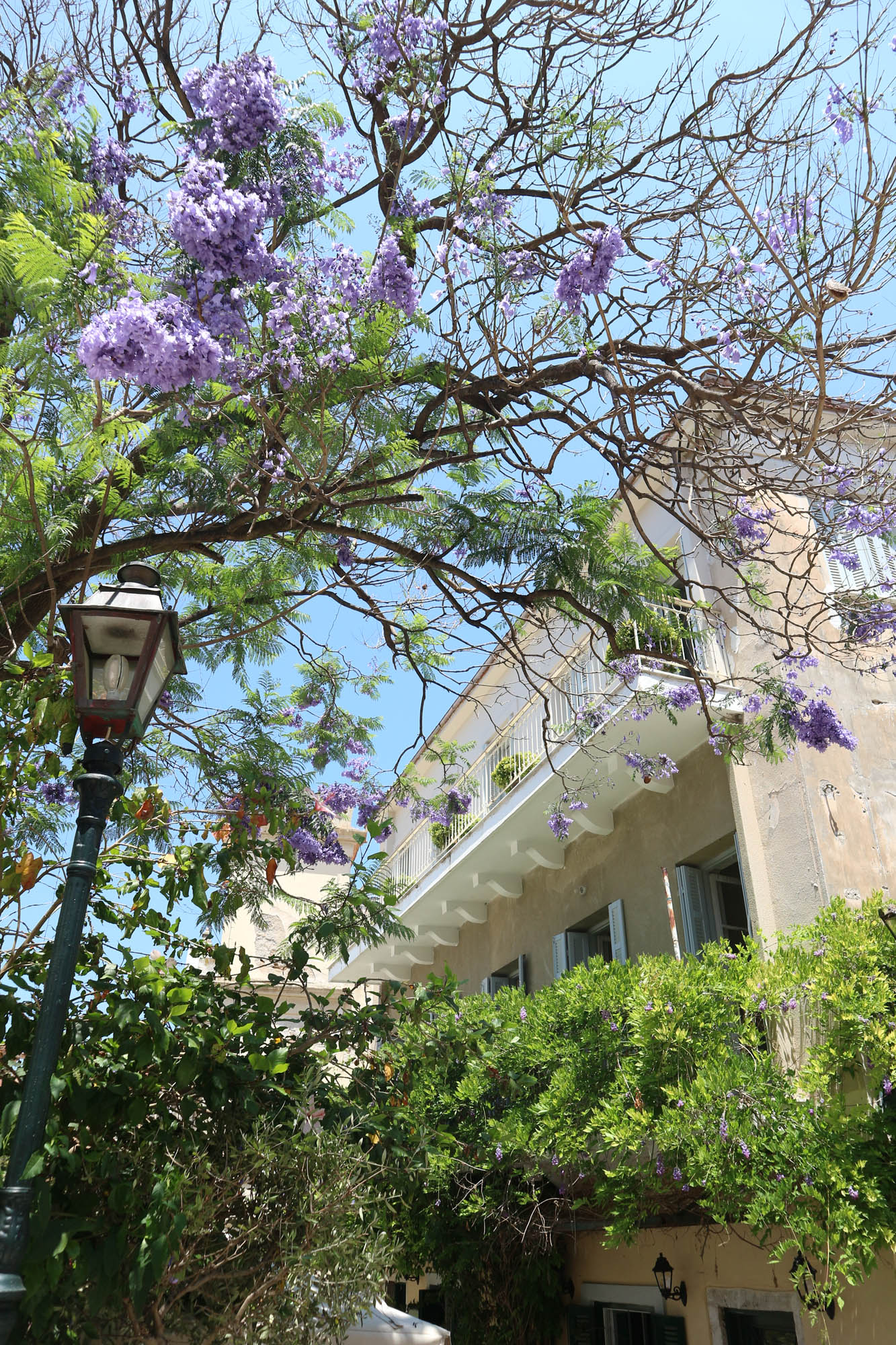 kerkyra, widoki na miasto, korfu, wspomnienia, relacje