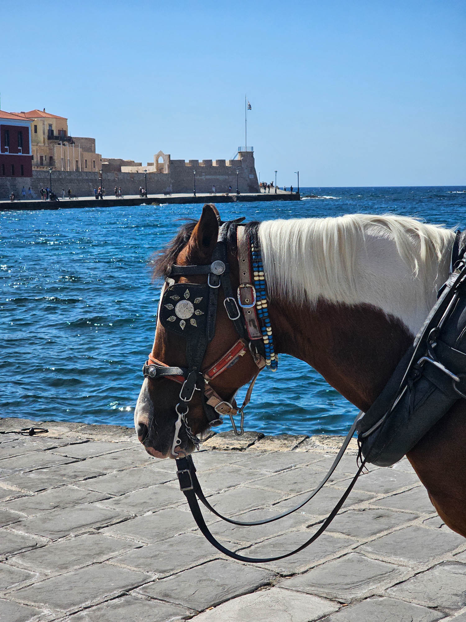 wspomnienia z krety, relacje, samaria, chania i inne