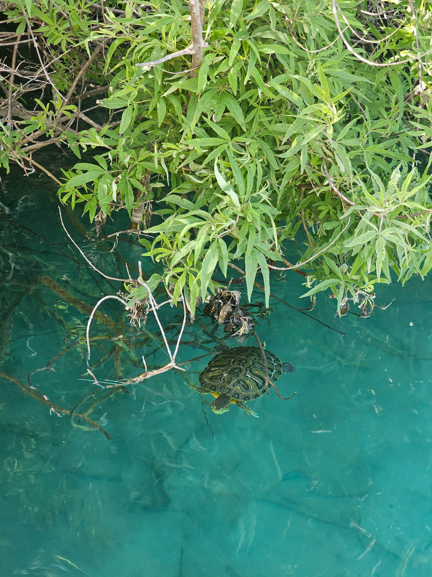 wspomnienia z krety, relacje, samaria, chania i inne