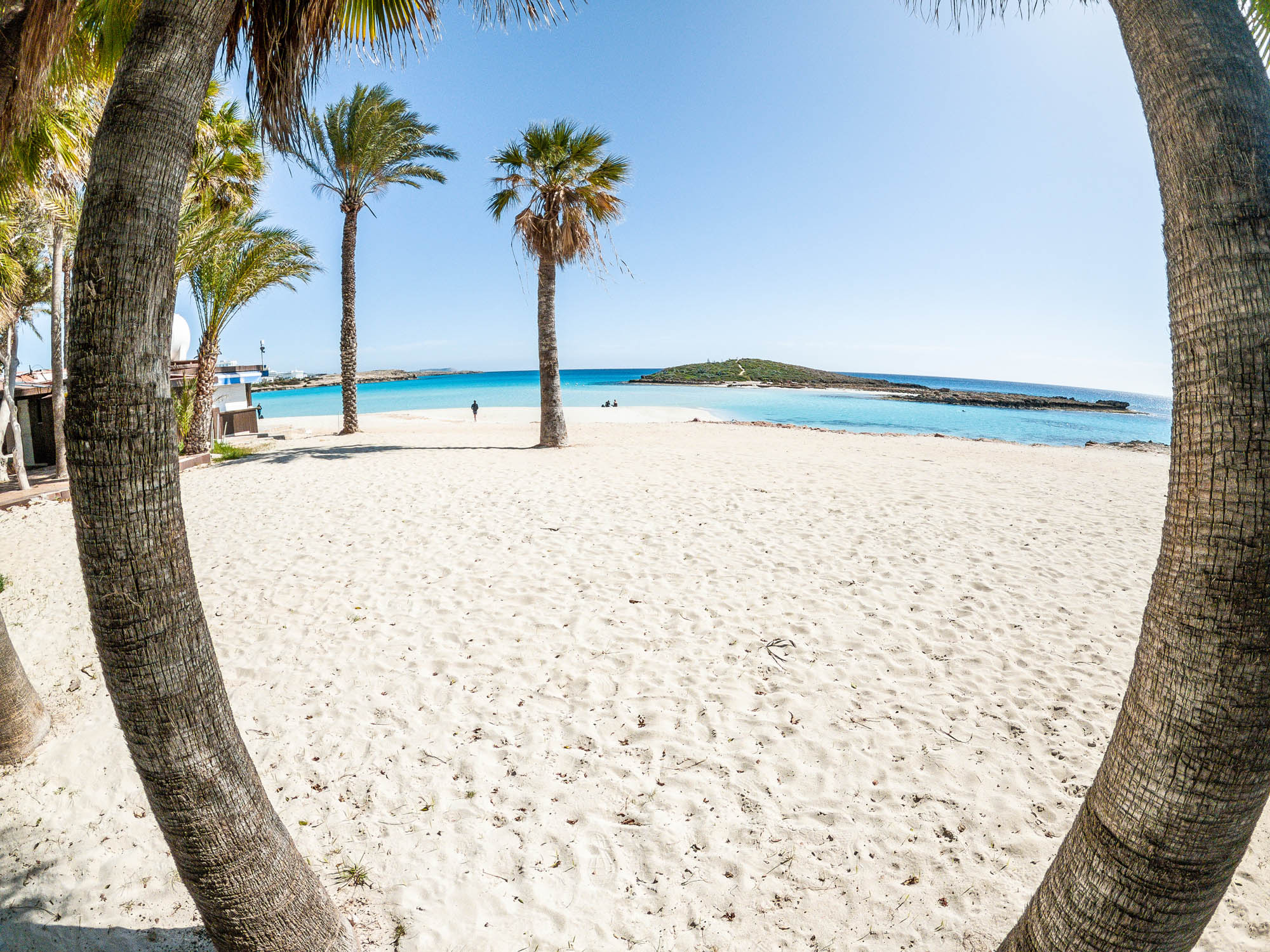 plaża nissi, cypr, widok na morze i piasek