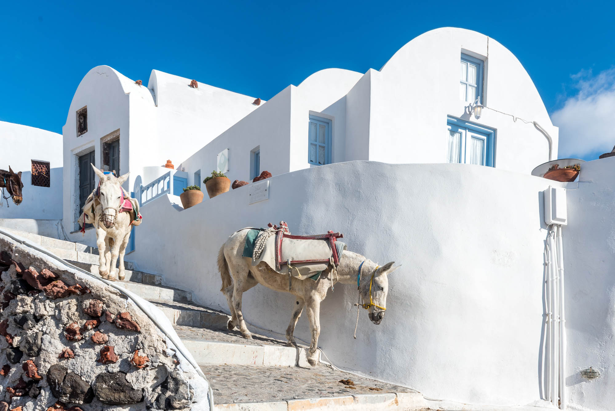 osiołki na santorini, trasa na góre do firy
